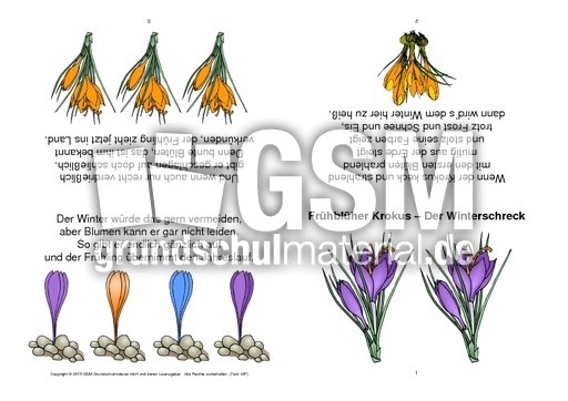 Faltbuch-Frühblüher Krokus – Der Winterschreck.pdf
